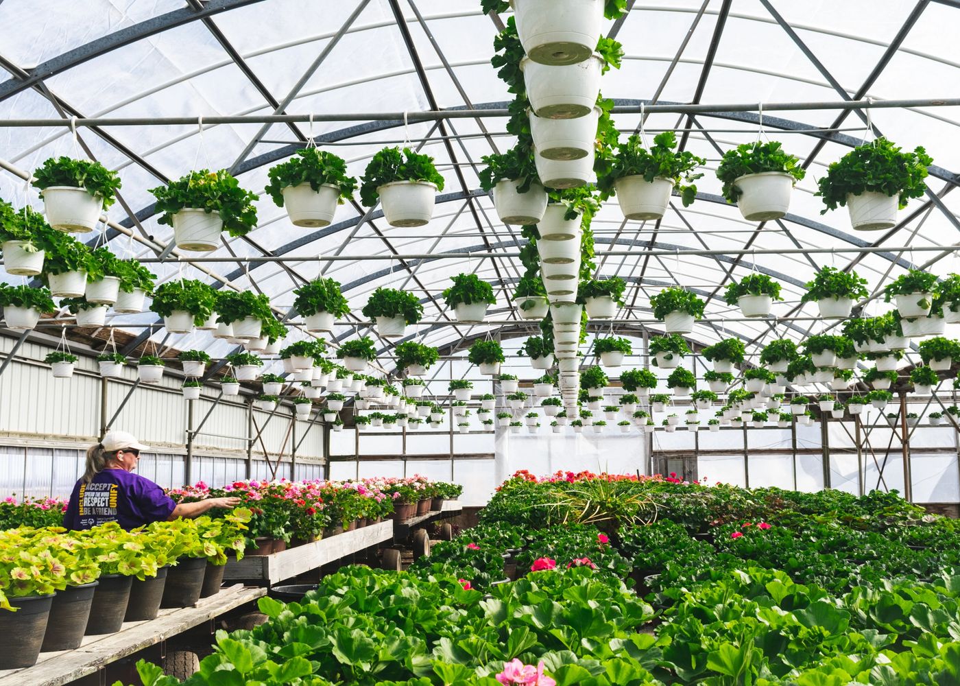 Blessing Greenhouses & Compost Facility Inc.